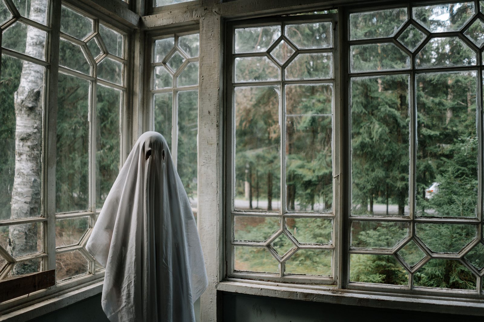 A person in a white sheet ghost costume by tall forest-facing windows